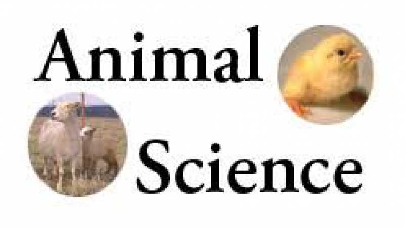 عالم الحيوانAnimal Scientist