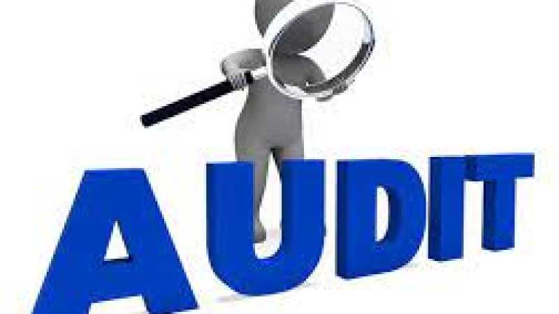  Auditors-فيديو المهنة باللغة الاجنبية