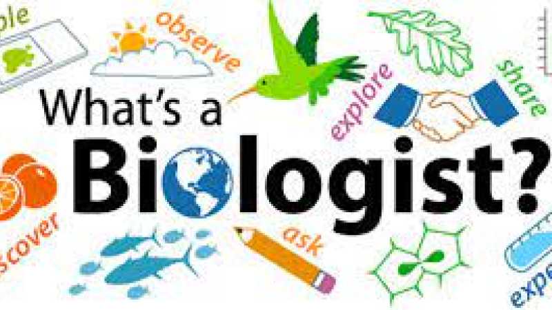  Biologist-فيديو المهنة باللغة الأجنبية