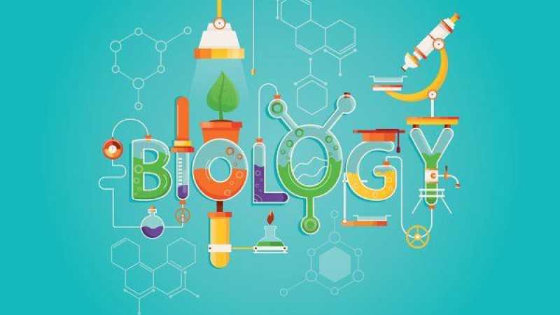  علم الأحياء  Biology